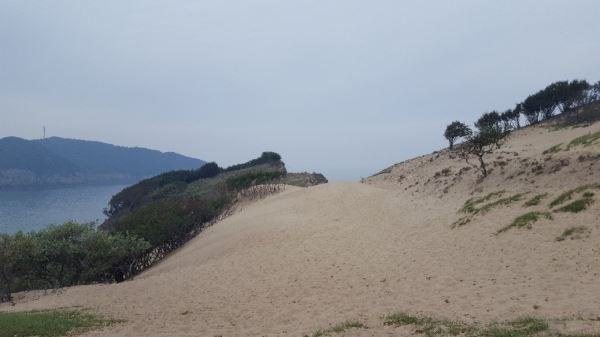목기미해변의 모래언덕