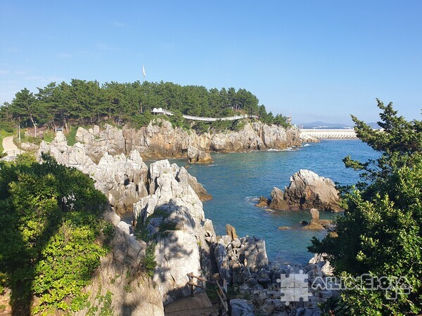 동해 바다 풍경