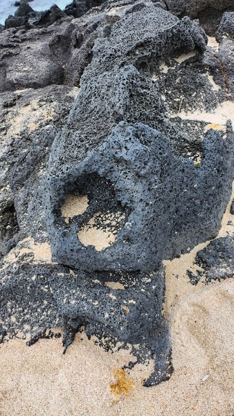     해변에 기암괴석