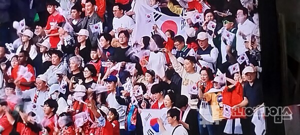 열광하는 한국 축구 팬들/사진 강신영